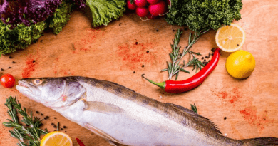 свежий судак