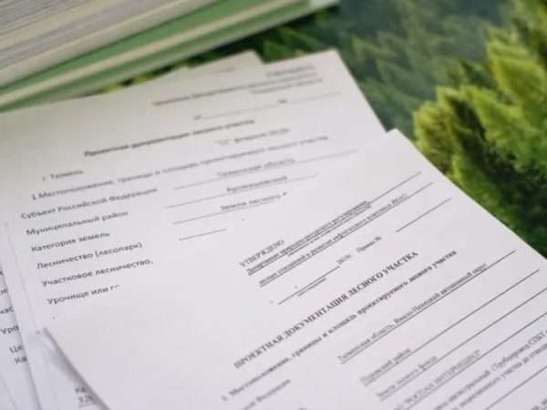 Зачем нужна проектная документация лесного участка арендаторам и инвесторам