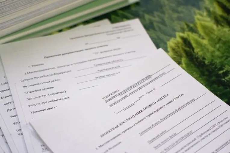 Зачем нужна проектная документация лесного участка арендаторам и инвесторам